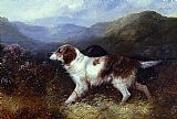 George Armfield Famous Paintings - Two Setters in a Landscape
